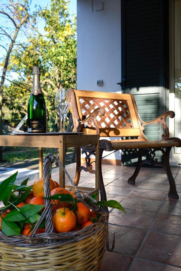 Agriturismo Piccolo Canyon Apartment Piano di Sorrento Exterior foto