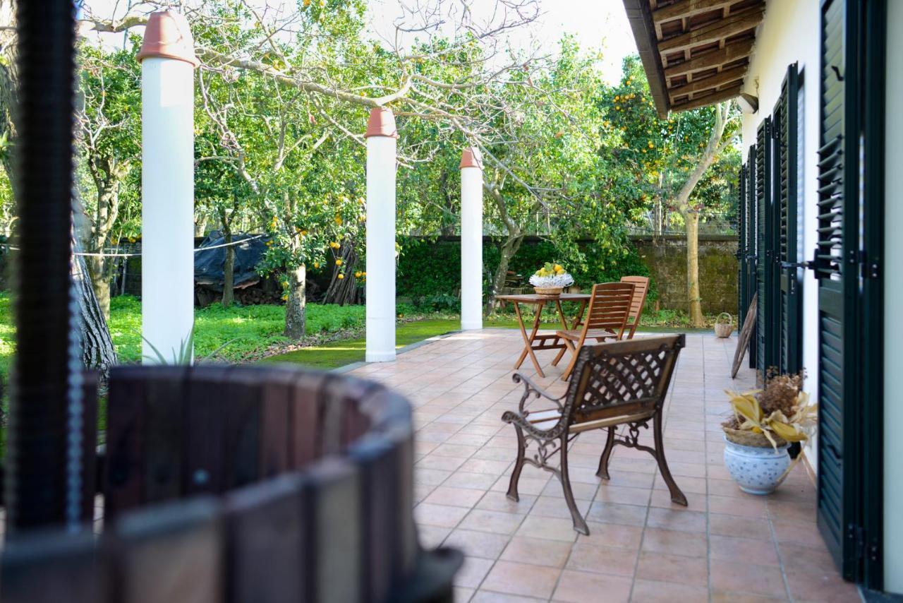 Agriturismo Piccolo Canyon Apartment Piano di Sorrento Exterior foto