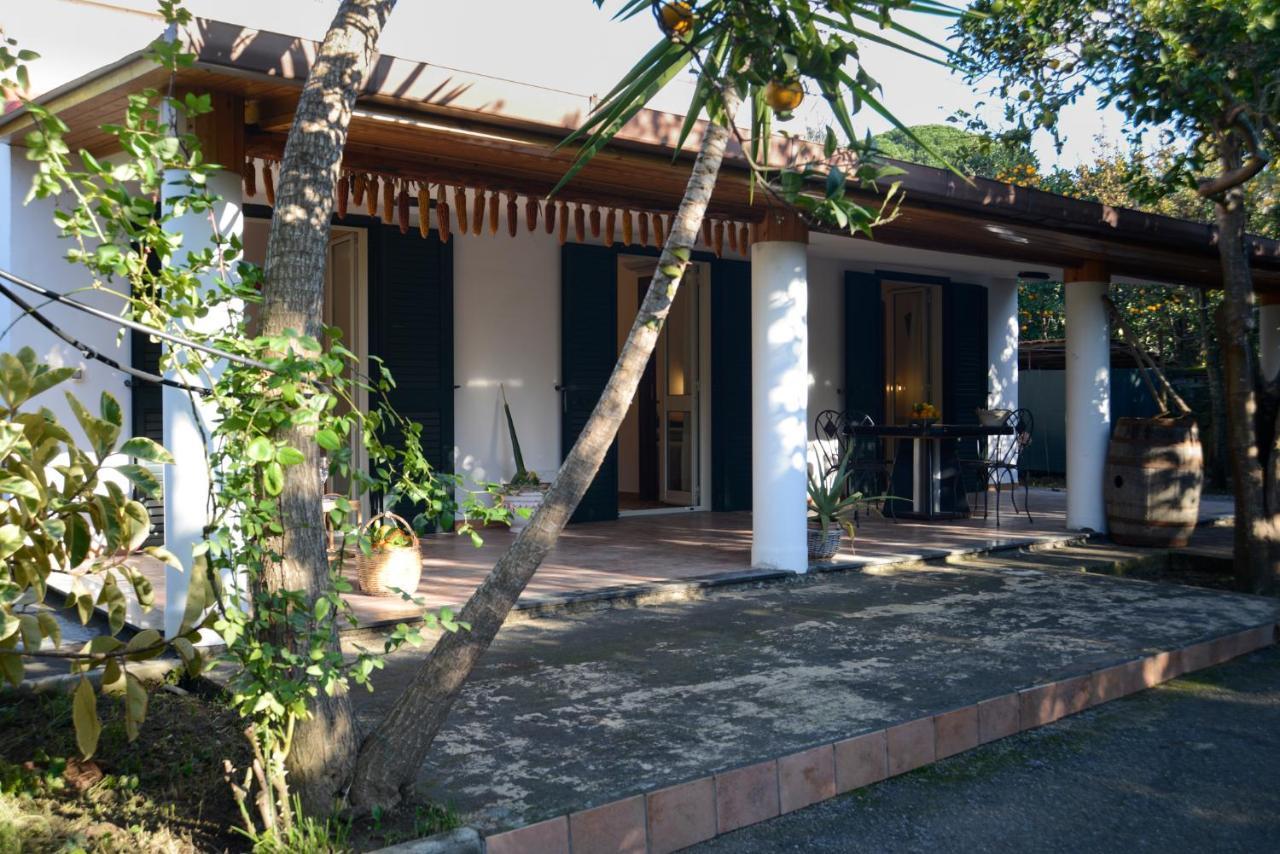 Agriturismo Piccolo Canyon Apartment Piano di Sorrento Exterior foto