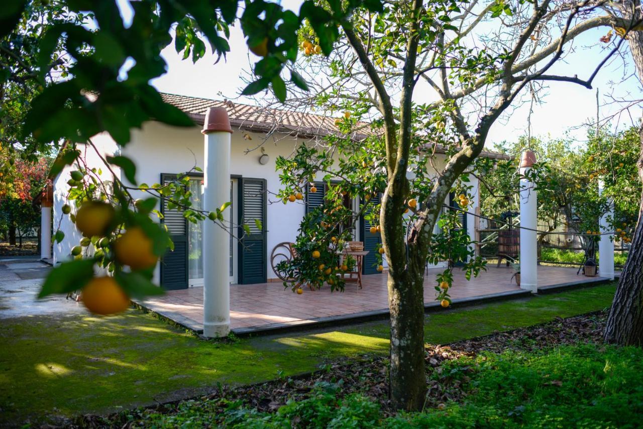 Agriturismo Piccolo Canyon Apartment Piano di Sorrento Exterior foto