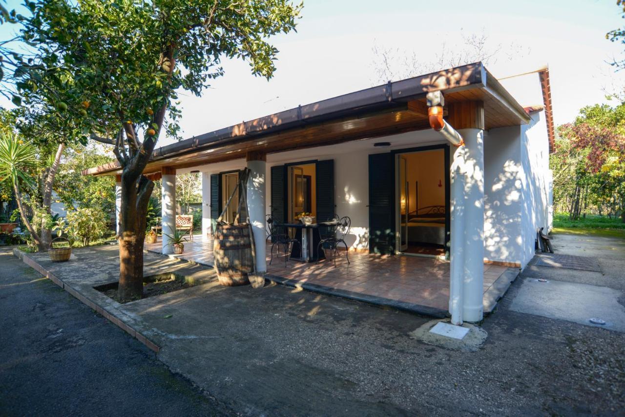 Agriturismo Piccolo Canyon Apartment Piano di Sorrento Exterior foto